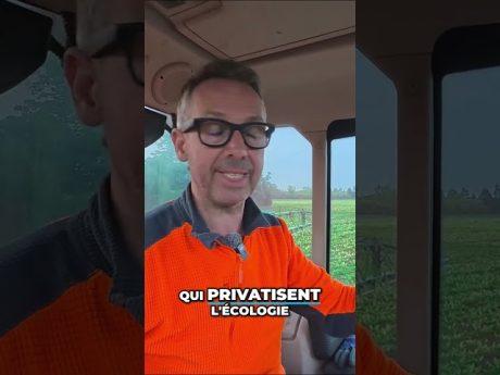Une déclaration qui fait grincer des dents ! 😬