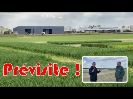 Culturales, une pré visite du salon d’arvalis !