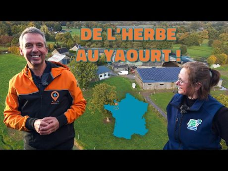 De l’herbe au yaourt : la ferme bretonne qui fait tout maison ! 🐮