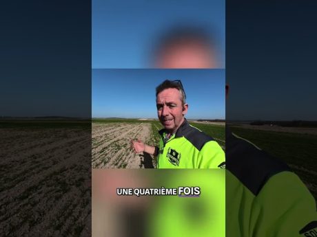 L’essai annuel limité du désherbage mécanique ! 📆