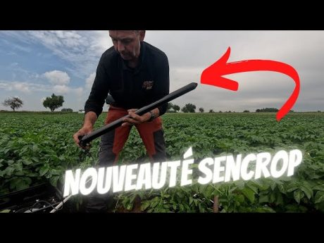 Sonde capacitive, levée des haricots, entretien des bâtiments,…