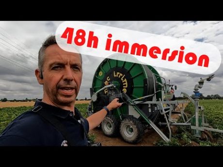 48 h d’immersion pendant l’irrigation