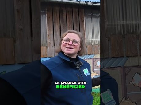 Fresque de ferme : l’art et l’école transforment notre ferme ! #shorts