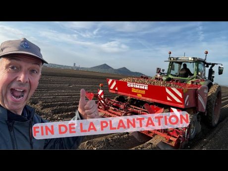 Fin de la plantation des patates ????