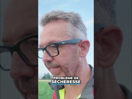 Les conséquences de la sécheresse… 🫤