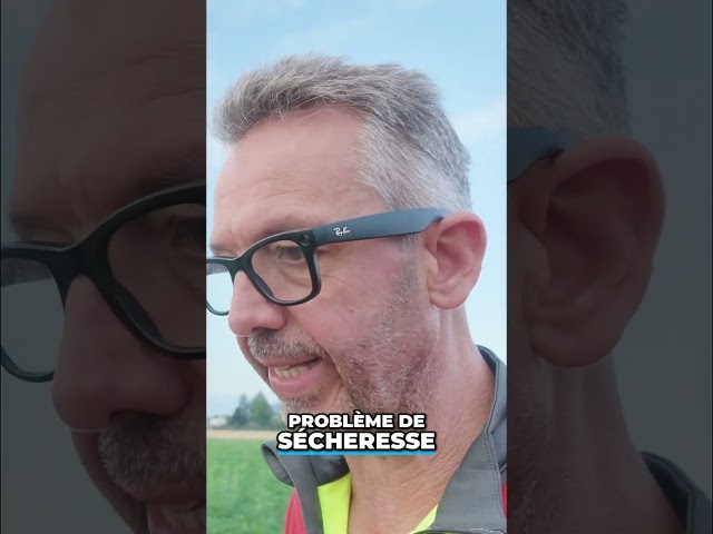 Les conséquences de la sécheresse… 🫤