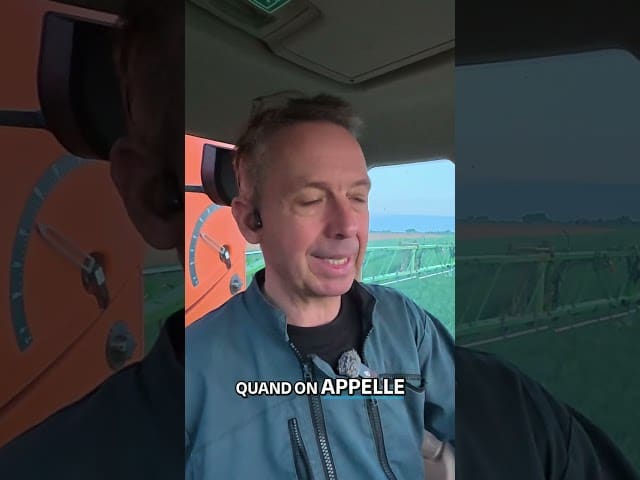 Les traitements pour protéger au mieux son blé ! 🌾