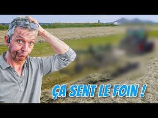 À quoi reconnaît on une fenaison bien réussie ? 🤔