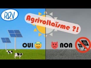 Rdv agri 77 : agrivoltaïsme pour ou contre