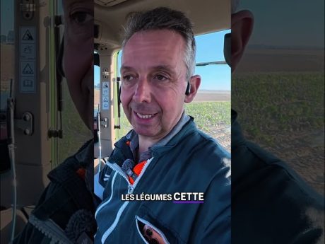 Détruire une culture faute de marché ? 🫤