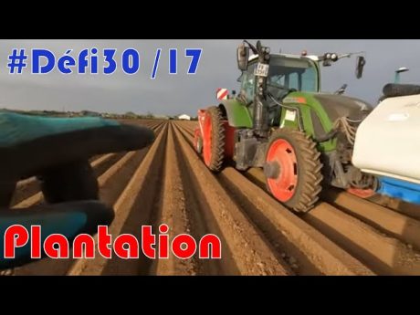 Début des plantations de pommes de terre #défi30 /17