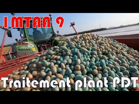 Fin de plantation #imtaa 9