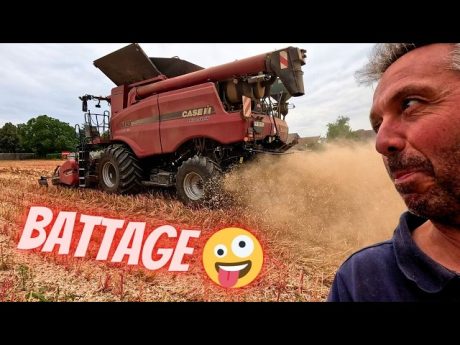 Battage du quinoa avec un picq up et une axial.
