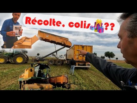 Récolte des pois, un colis 🎁, de l&rsquo;irrigation pour ce #vlog #danslesbottes