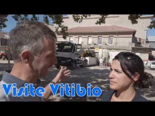 Visite de cave viticole