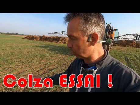 Essai désherbage colza en post levée