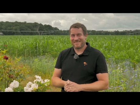 Portrait de gilles vk #danslesbottes