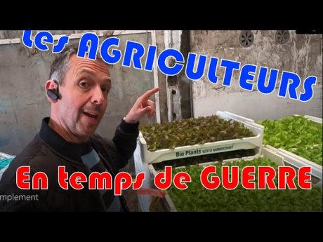 En temps de guerre les agriculteurs travaillent « tout simplement » !