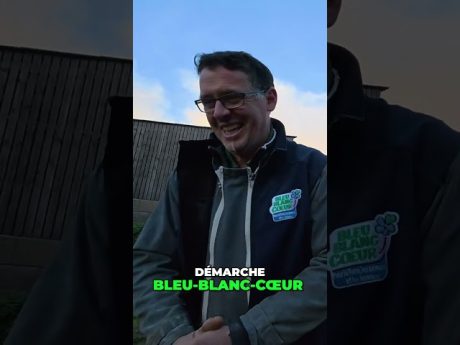 Découvrez la ferme des gaillardises : tradition, lait & projets locaux #shorts