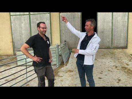 Chez guillaume Éleveur de brebis pour nôtre journal du tour #cofarming