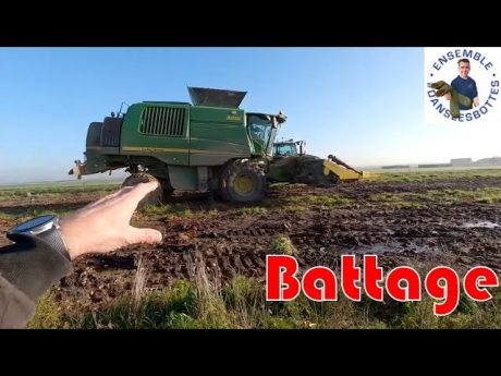 Battage du maïs bio en cuma 🚜
