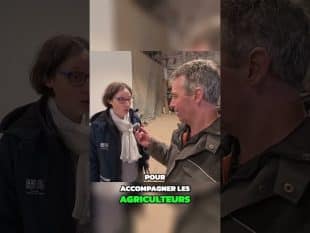 Siège ergonomique : soulager le dos au travail