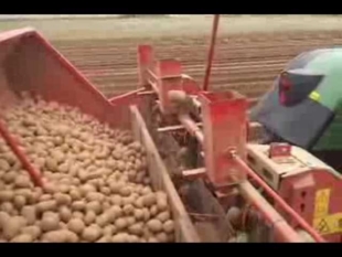 Plantation pommes de terre guidage rtk.