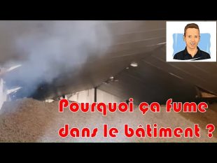 🍟conservation des pommes de terre