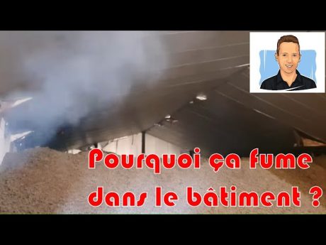 🍟conservation des pommes de terre
