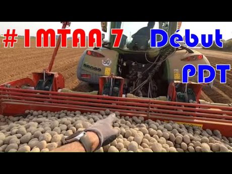 Début des plantations pdt #imtaa 7