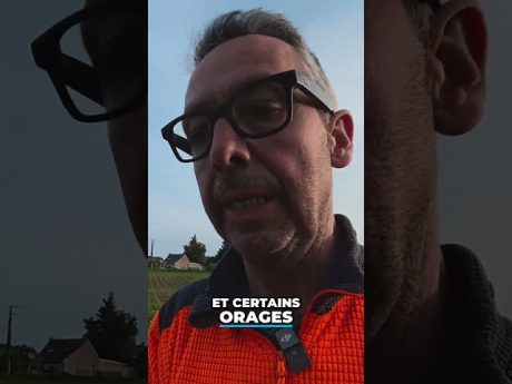 Des conditions pas évidentes pour les betteraves… 🫜