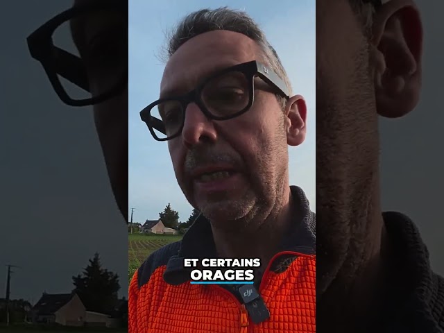 Des conditions pas évidentes pour les betteraves… 🫜