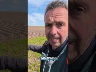 On n’a pas toujours le résultat escompté… 😬