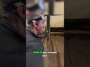 On apporte un coup de fraîcheur aux écuries !