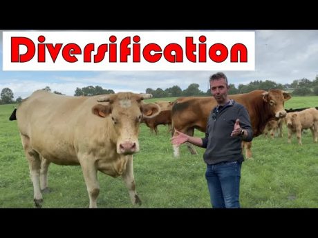 Financer sa diversification autrement ! témoignage de patrick