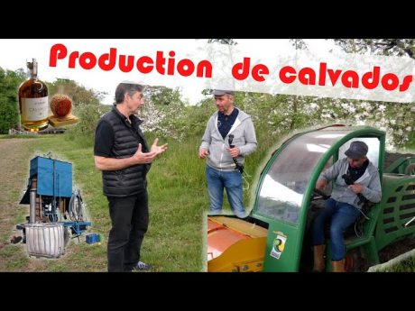 A la rencontre d&rsquo;un producteur de calvados : du verger à la dégustation ! #cofarmingtour