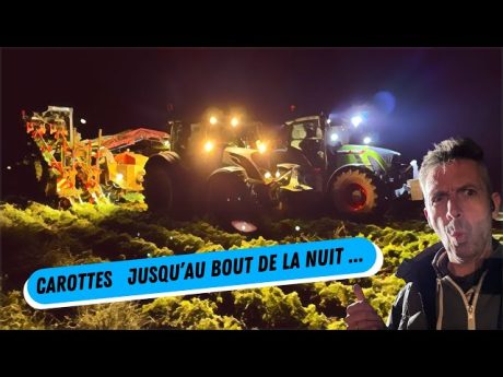 Complique ???? fin des arrachages de carottes !