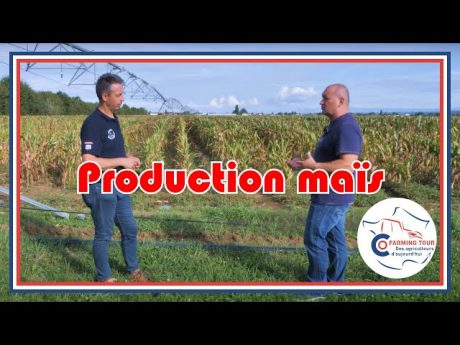 Parlons peu parlons maïs. #cft j4