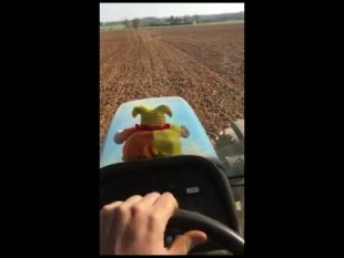 Live reprise de terre 2