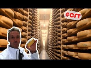 On l&rsquo;aime sans comté !!! #cft