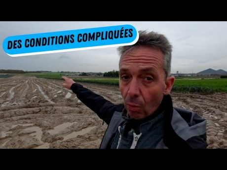 C&rsquo;est pas la joie ????, on a besoin de vous !