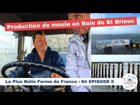 Mytilus ???????? la plus belle ferme de france