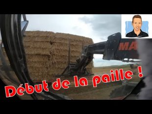 Saison de paille 2021 début !