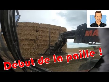 Saison de paille 2021 début !