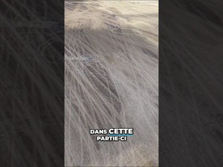 Mystère autour de ce feu de champs… 👀