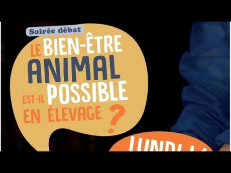 Bien etre animal est il possible en elevage