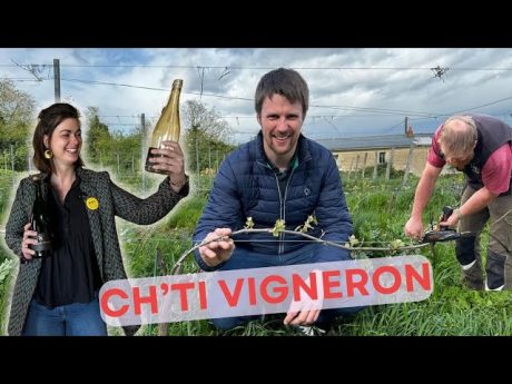 Viticulture, transition et concigne chez des ch’ti vignerons : la plus belle ferme de france 2024/1