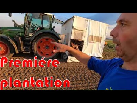 Premiére plantation des poireaux