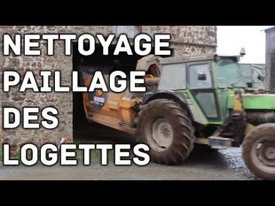 Nettoyage et paillage des logettes !