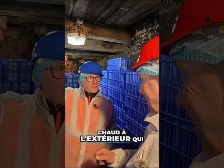 Les secrets du meilleur roquefort ! 🧀